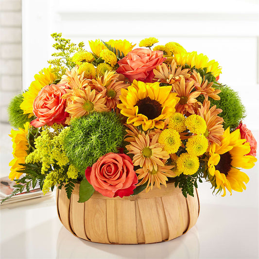 Harvest Sunflower Basket – ANGELOS FLOWERS & GIFTS INC, Mississauga ON