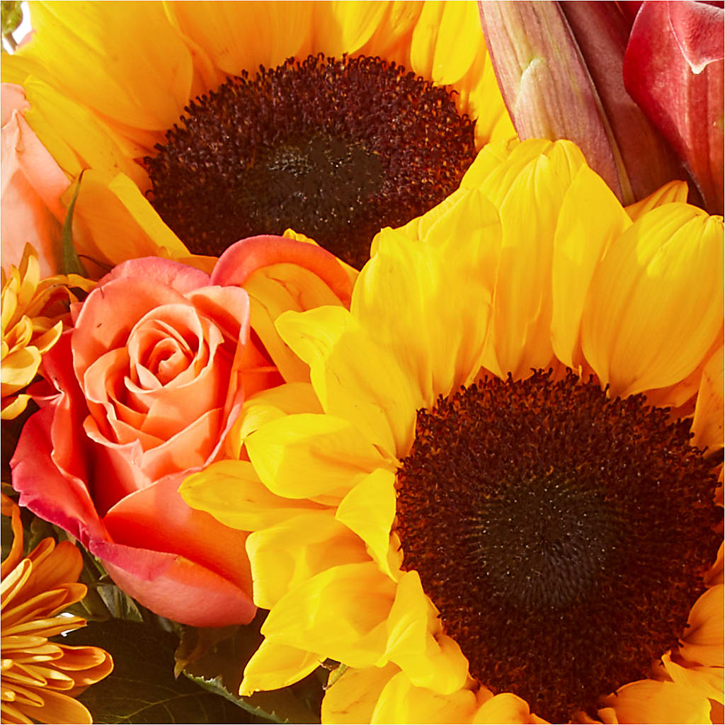 Acorn Lane Bouquet – ANGELOS FLOWERS & GIFTS INC, Mississauga ON