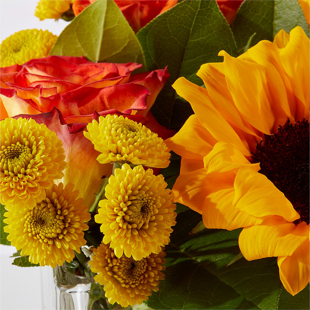 Picnic in the Park Bouquet – ANGELOS FLOWERS & GIFTS INC, Mississauga ON