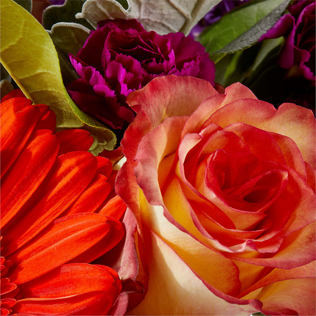 Sangria Bouquet – ANGELOS FLOWERS & GIFTS INC, Mississauga ON
