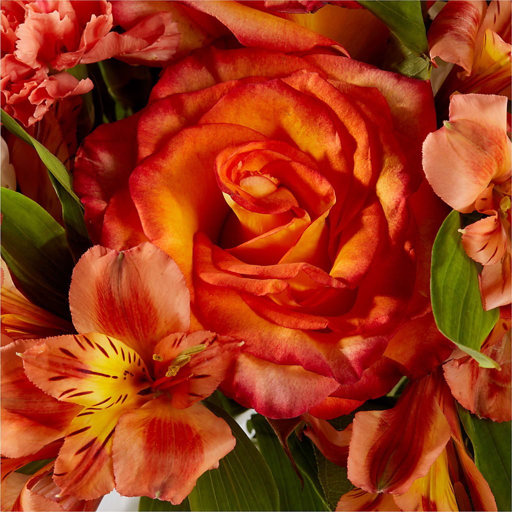 Apricot Glow Bouquet – ANGELOS FLOWERS & GIFTS INC, Mississauga ON