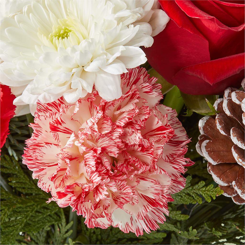 Candy Cane Lane Bouquet – ANGELOS FLOWERS & GIFTS INC, Mississauga ON