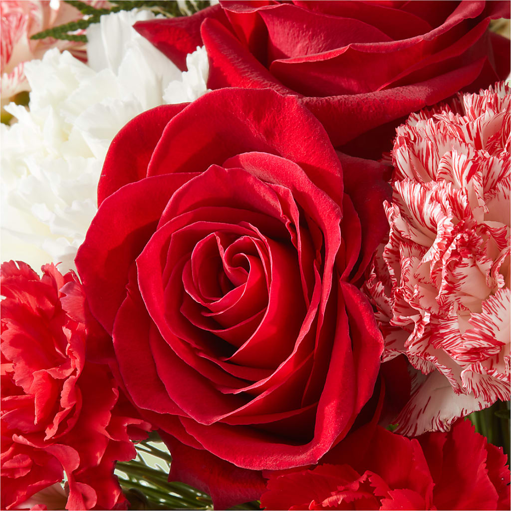 Candy Cane Lane Bouquet – ANGELOS FLOWERS & GIFTS INC, Mississauga ON