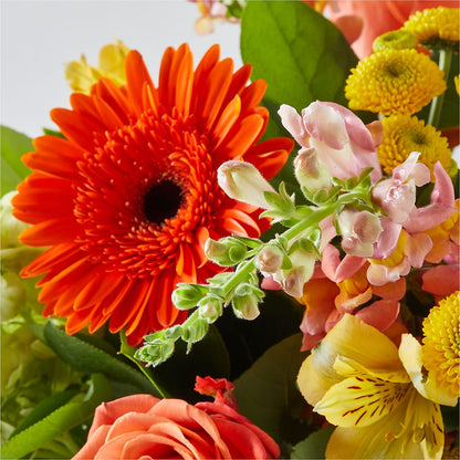 Autumn Sunshine Bouquet – ANGELOS FLOWERS & GIFTS INC, Mississauga ON