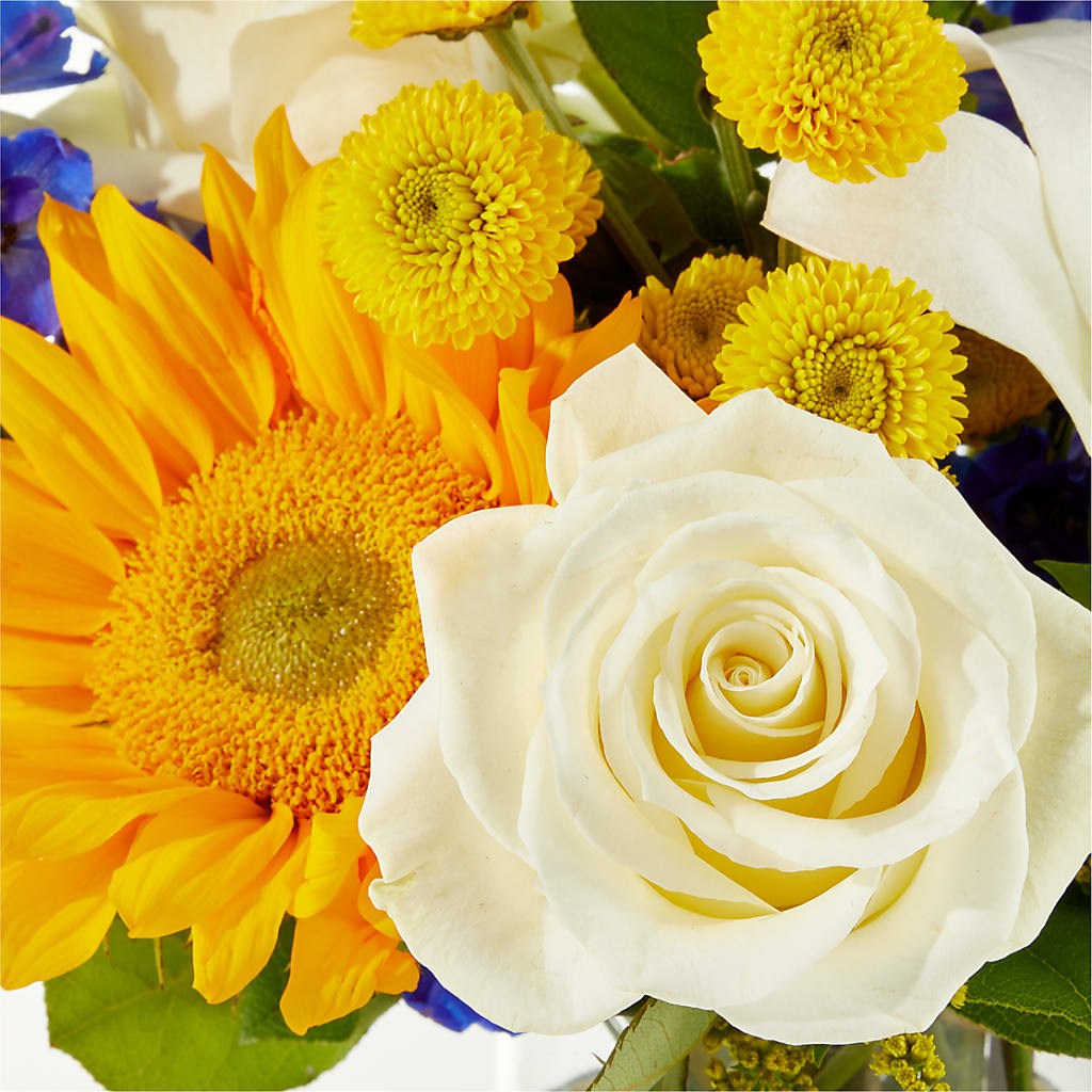 Stargazing Bouquet – ANGELOS FLOWERS & GIFTS INC, Mississauga ON