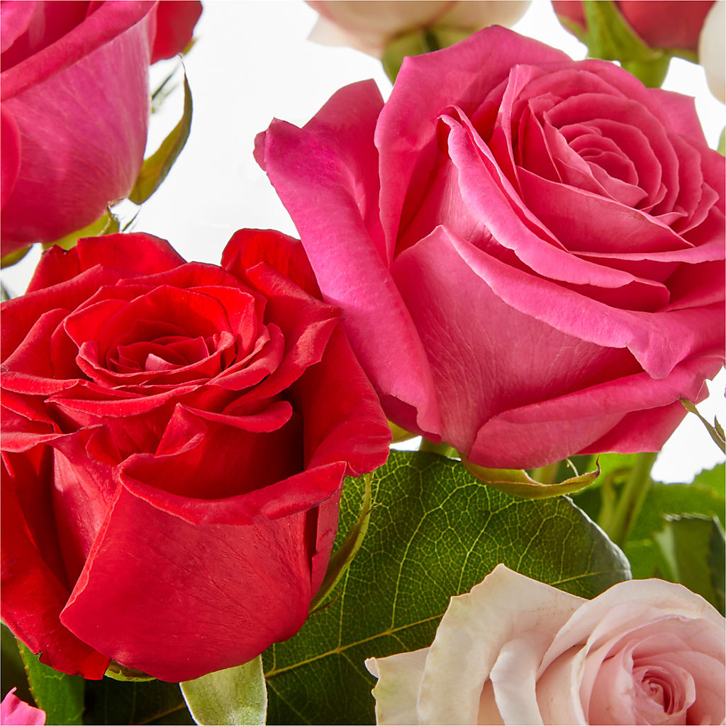 Charming Rose Bouquet – ANGELOS FLOWERS & GIFTS INC, Mississauga ON