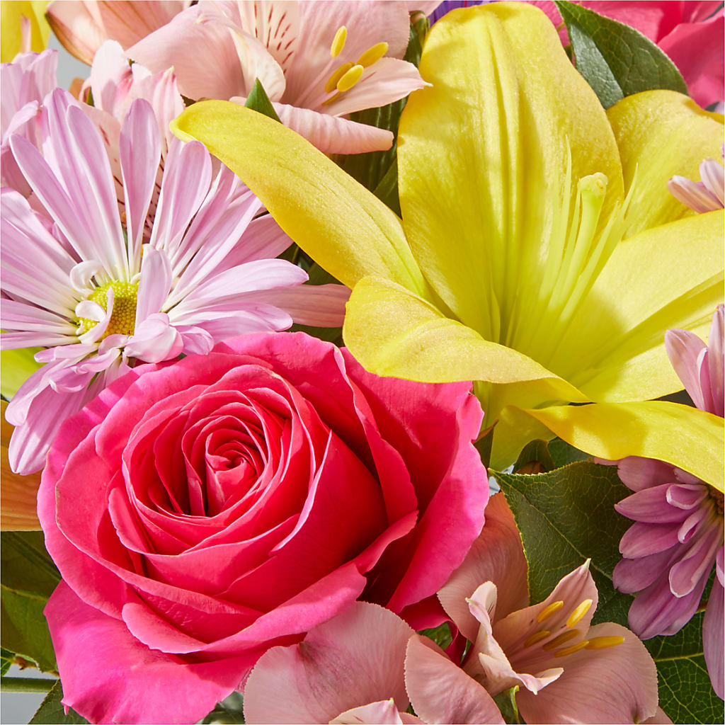 Sprinkles Bouquet – ANGELOS FLOWERS & GIFTS INC, Mississauga ON