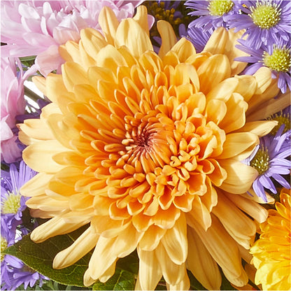 Countryside Bouquet – ANGELOS FLOWERS & GIFTS INC, Mississauga ON