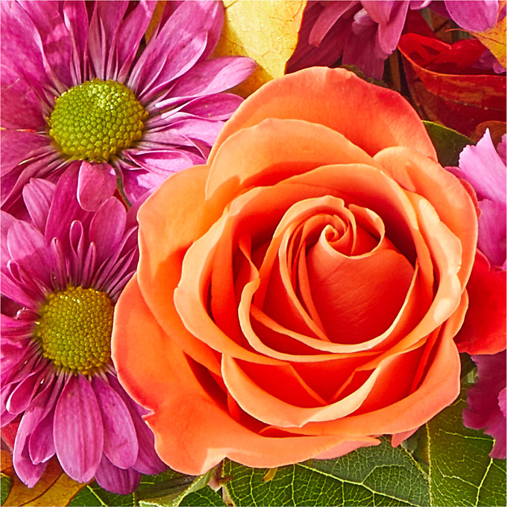 Mum's the Word Bouquet – ANGELOS FLOWERS & GIFTS INC, Mississauga ON