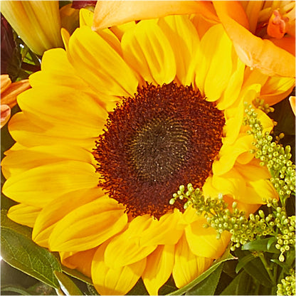 Seasons Change Bouquet – ANGELOS FLOWERS & GIFTS INC, Mississauga ON
