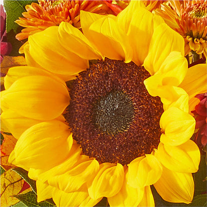 Sunny Side Bouquet – ANGELOS FLOWERS & GIFTS INC, Mississauga ON
