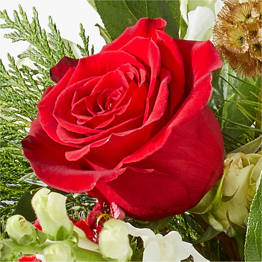 Deck the Halls Bouquet – ANGELOS FLOWERS & GIFTS INC, Mississauga ON
