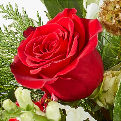 Deck the Halls Bouquet – ANGELOS FLOWERS & GIFTS INC, Mississauga ON