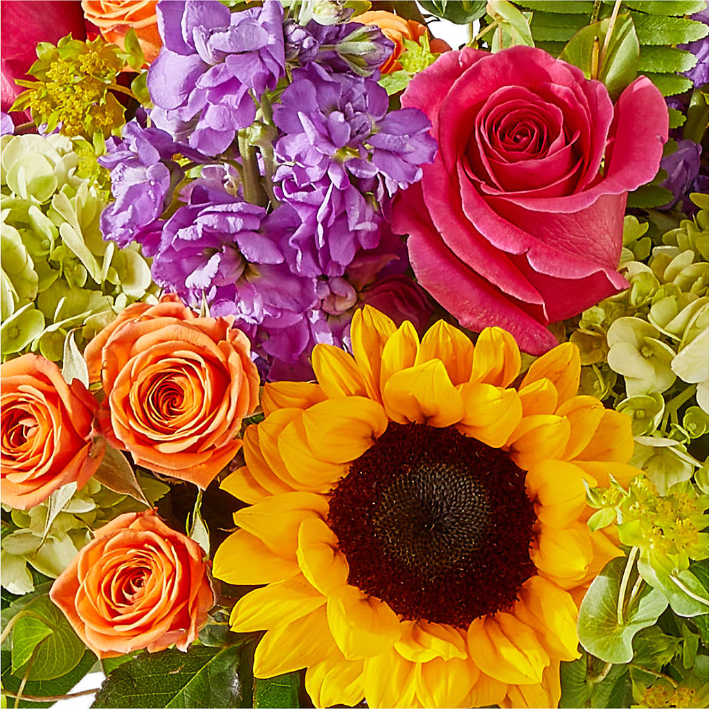 Vibrant Greetings Bouquet – ANGELOS FLOWERS & GIFTS INC, Mississauga ON