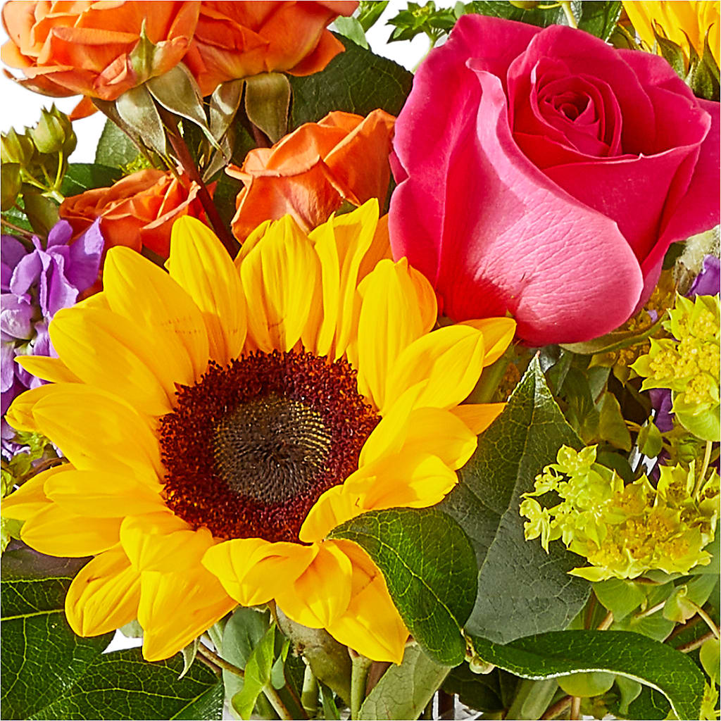 Vibrant Greetings Bouquet – ANGELOS FLOWERS & GIFTS INC, Mississauga ON