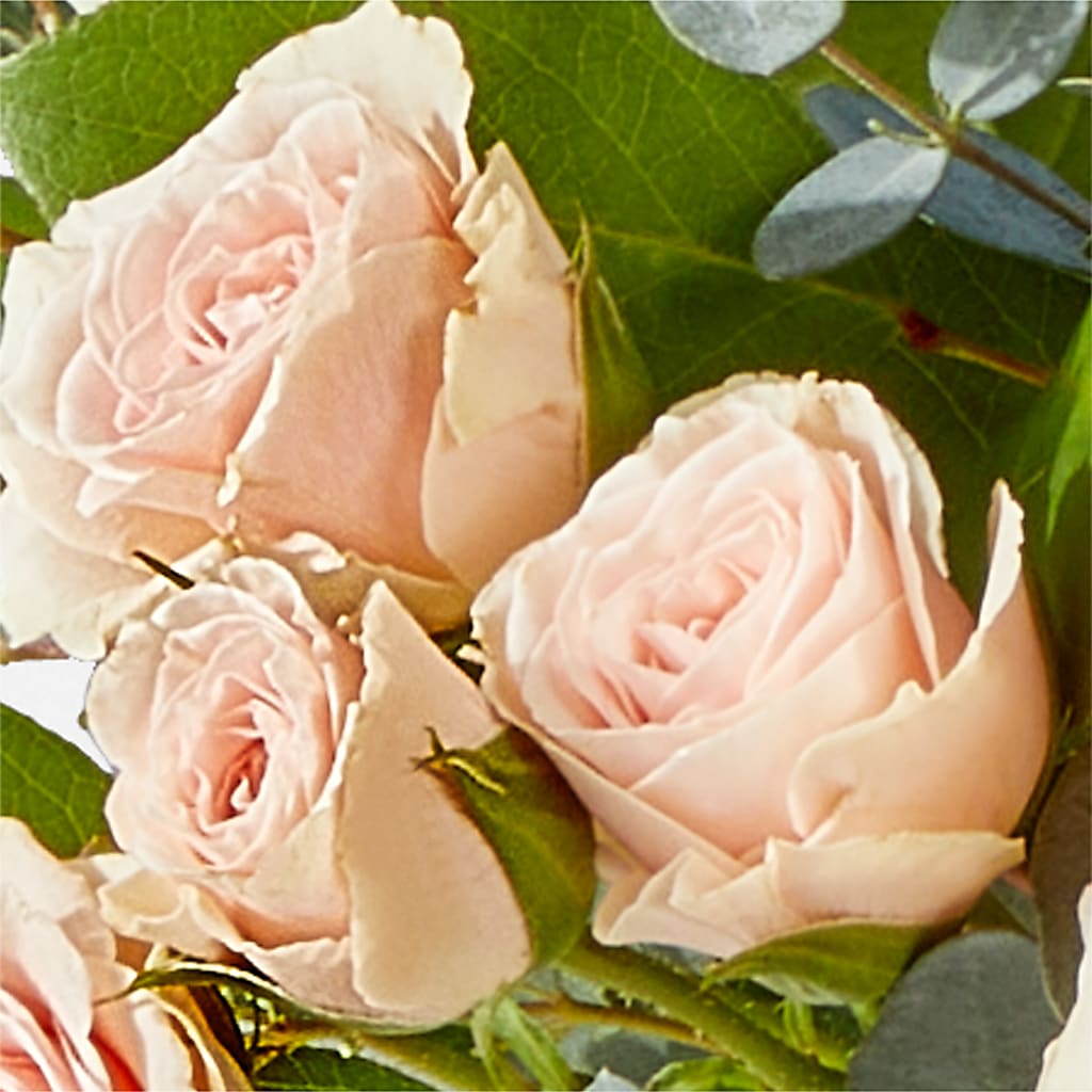 Inspired Bouquet – ANGELOS FLOWERS & GIFTS INC, Mississauga ON