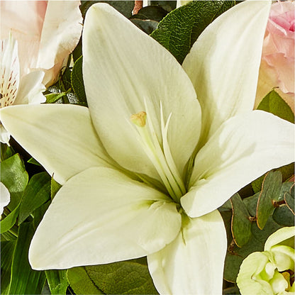 Ballet Slippers Bouquet – ANGELOS FLOWERS & GIFTS INC, Mississauga ON