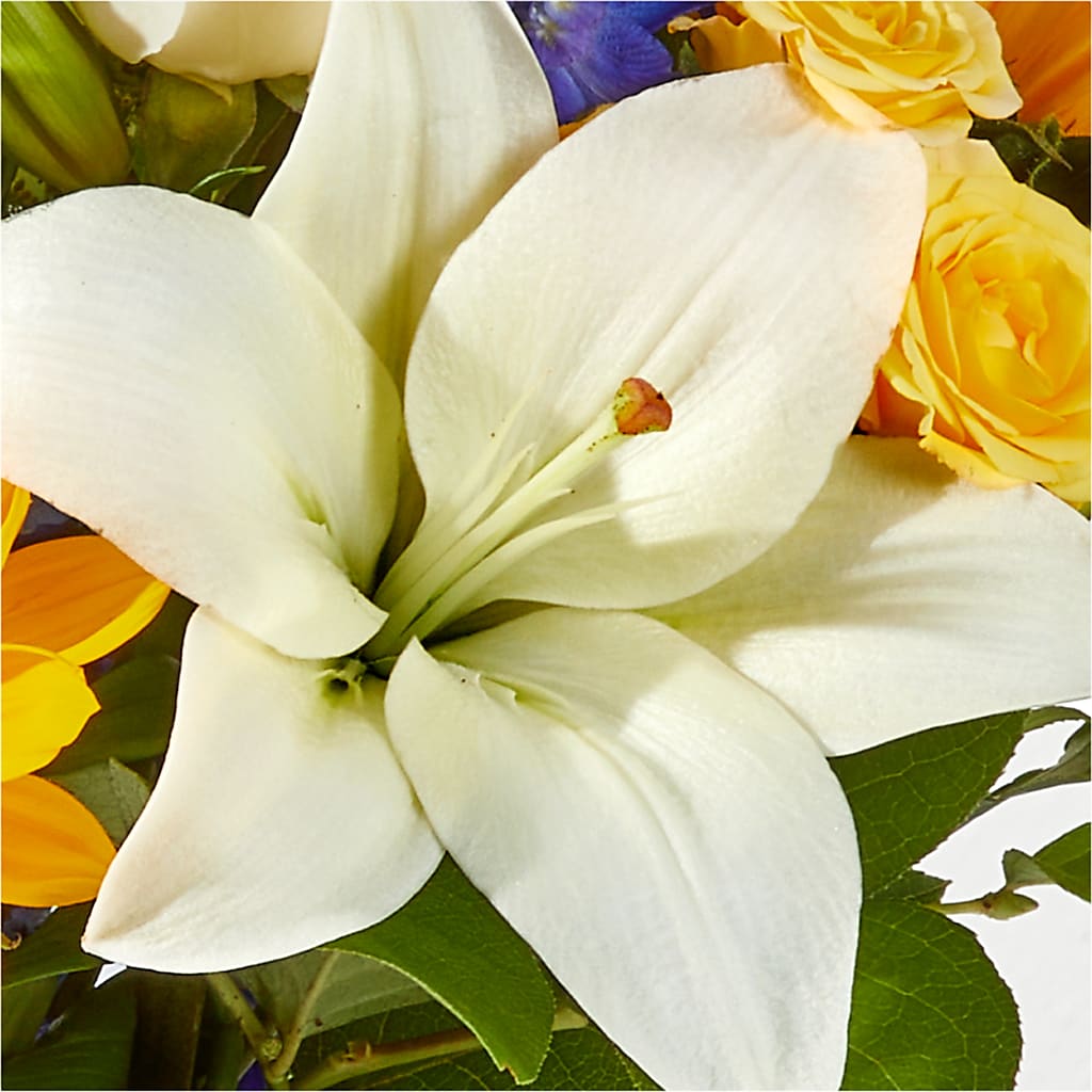 Wonderfully Sunny Bouquet – ANGELOS FLOWERS & GIFTS INC, Mississauga ON