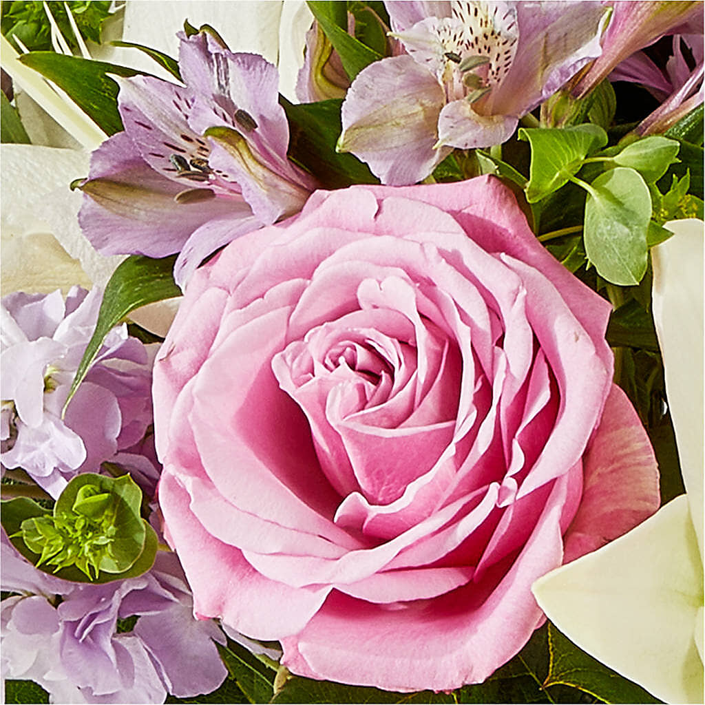 Daydreamer Bouquet – ANGELOS FLOWERS & GIFTS INC, Mississauga ON