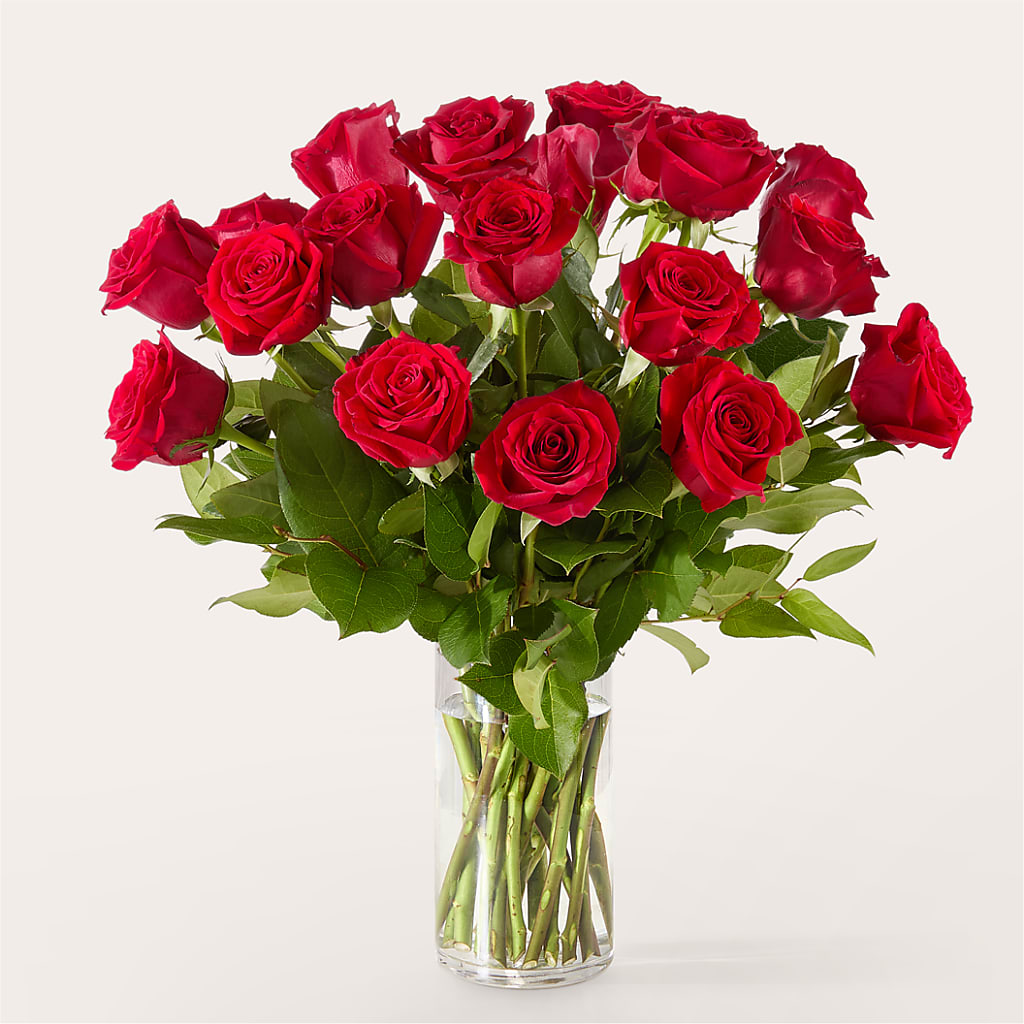 The One Red Rose Bouquet – ANGELOS FLOWERS & GIFTS INC, Mississauga ON