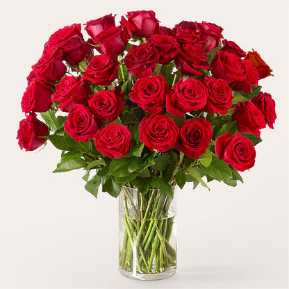 The One Red Rose Bouquet – ANGELOS FLOWERS & GIFTS INC, Mississauga ON