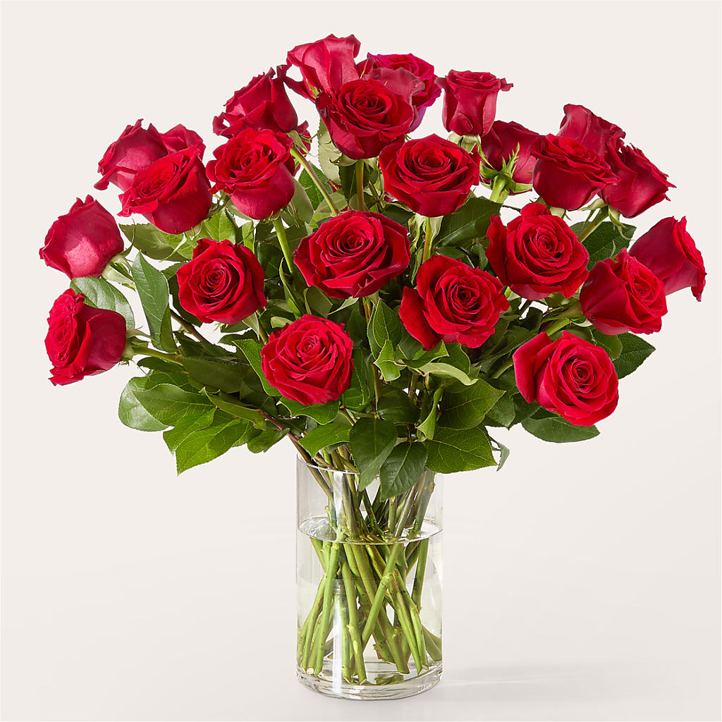 The One Red Rose Bouquet – ANGELOS FLOWERS & GIFTS INC, Mississauga ON