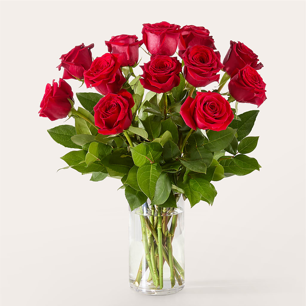 The One Red Rose Bouquet – ANGELOS FLOWERS & GIFTS INC, Mississauga ON