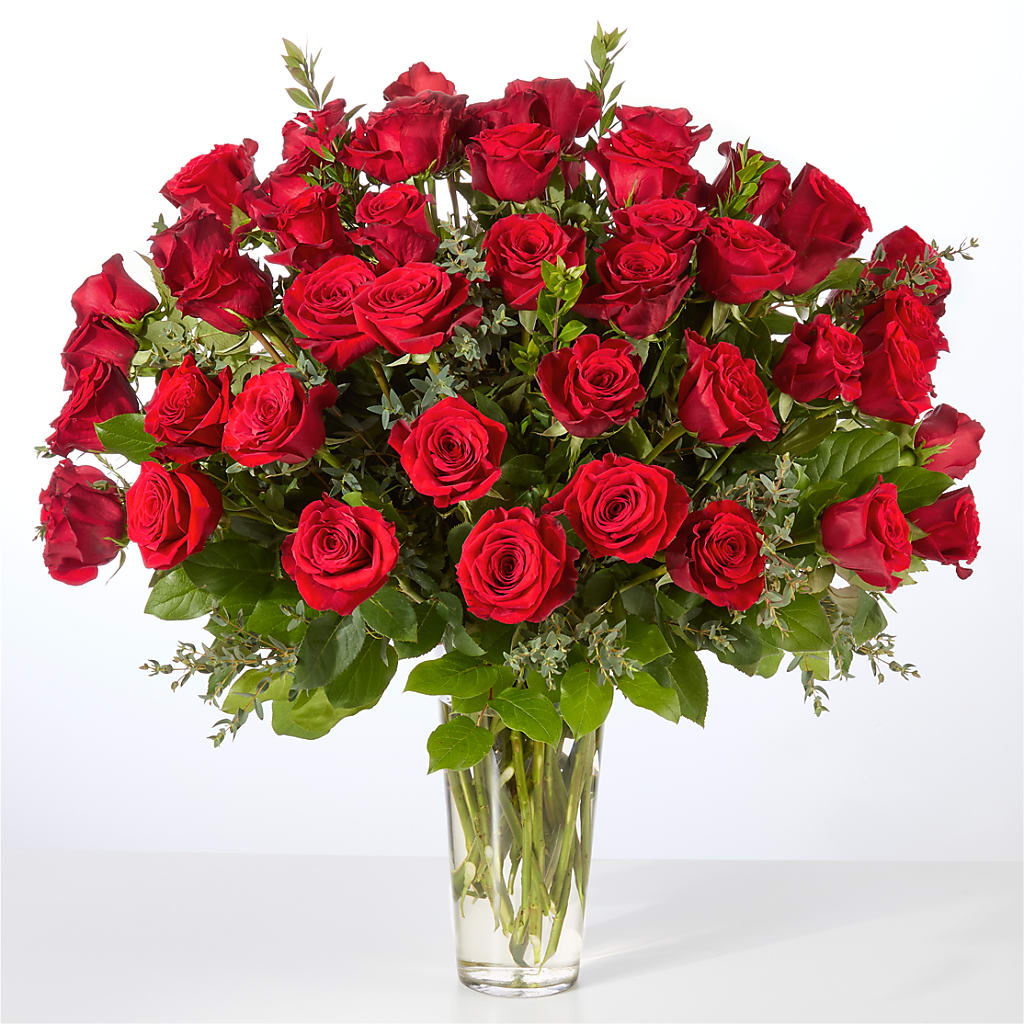 Forever Yours Fifty Stem Red Rose Bouquet – ANGELOS FLOWERS & GIFTS INC, Mississauga ON