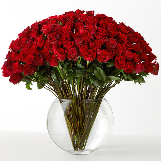 The Idealist – ANGELOS FLOWERS & GIFTS INC, Mississauga ON
