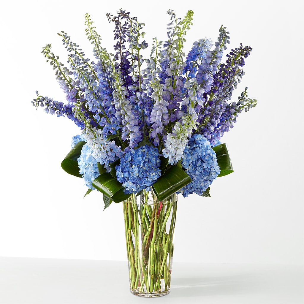 The Editorial – ANGELOS FLOWERS & GIFTS INC, Mississauga ON