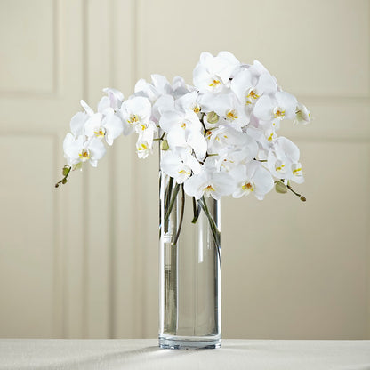 White Phalaenopsis Bouquet – ANGELOS FLOWERS & GIFTS INC, Mississauga ON
